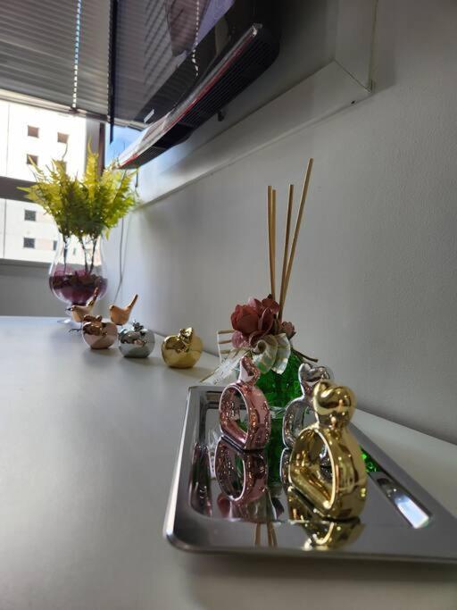 Apartment Aconchegante Ap No Park Sul Proximo Ao Aeroporto